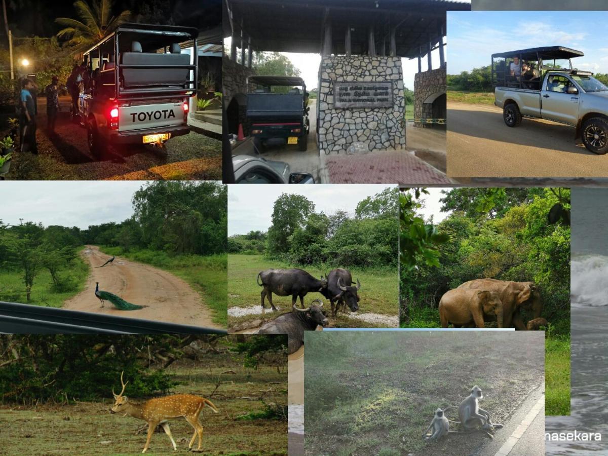 Lavender Home Yala Safari تيساماهاراما المظهر الخارجي الصورة